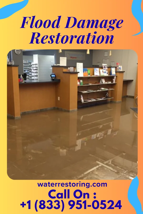 Flood Damage Restoration in Mignon, AL